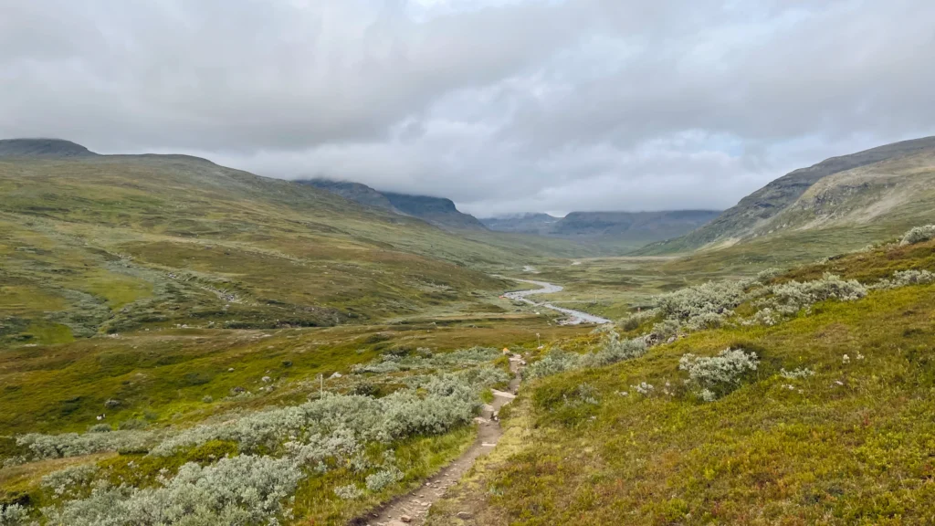 Dolina polodowcowa na pierwszych kilometrach szlaku Kungsleden