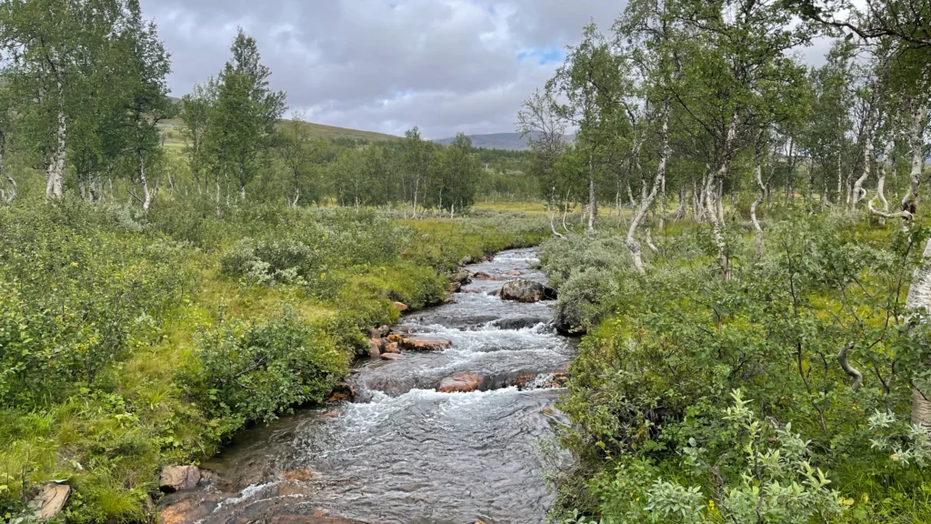 Górski potok na pierwszych kilometrach szlaku Kungsleden